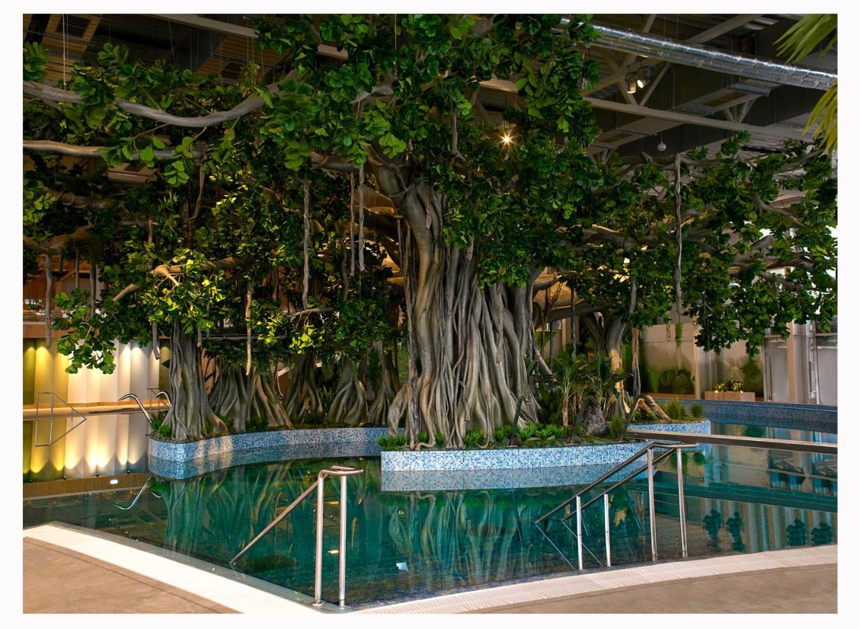 Amazonia