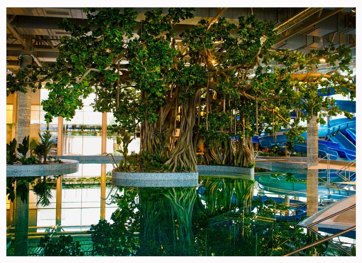 Apartamento Amazonia Timisoara